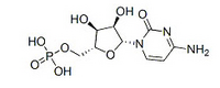 5’- Cytidine Monophosphate free acid