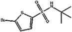 5-Bromo-N-tert-butyl-2-thiophenesulfonamide