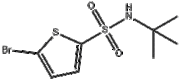 5-Bromo-N-tert-butyl-2-thiophenesulfonamide