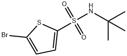 5-Bromo-N-tert-butyl-2-thiophenesulfonamide