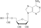 5’-Adenosine Monophosphate free acid