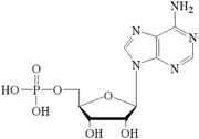 5’-Adenosine Monophosphate free acid
