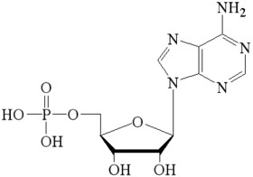 5’-Adenosine Monophosphate free acid