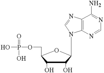 5’-Adenosine Monophosphate free acid