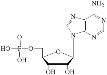 5’-Adenosine Monophosphate free acid