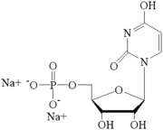 5’- Uridine Monophosphate disodium salt