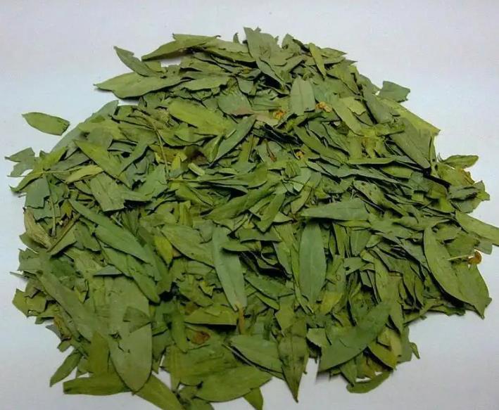 Eucommia Leaf Extract Chlorogenic Acid 98%  Substitute anti-feed additives  
