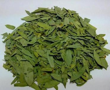 Eucommia Leaf Extract Chlorogenic Acid 98%  Substitute anti-feed additives