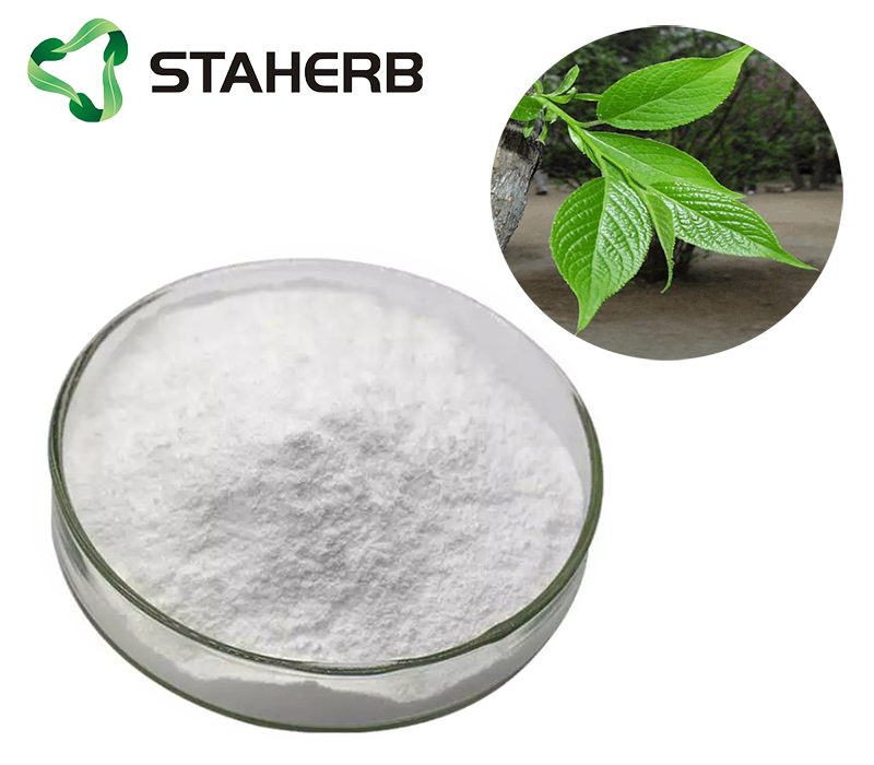 Eucommia Leaf Extract Chlorogenic Acid 98%  Substitute anti-feed additives