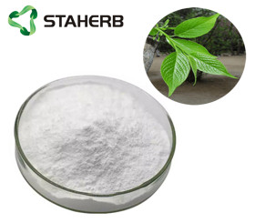 Eucommia Leaf Extract Chlorogenic Acid 98%  Substitute anti-feed additives