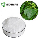 Eucommia Leaf Extract Chlorogenic Acid 98%  Substitute anti-feed additives