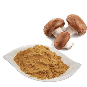 Shiitake Mushroom Extract,Lentinan, Lentinus edodes Extract