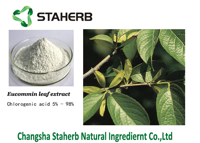 Eucommia Leaf Extract Chlorogenic Acid 5%  Veterinary medicine material  