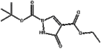 1-Tert-butyl 4-ethyl 3-hydroxy-1H-pyrazole-1,4-dicarboxylate