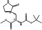 Methyl (S)-2-(Boc-amino)-3-[(S)-2-oxo-3-pyrrolidinyl]propanoate