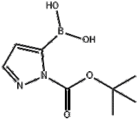 1-(t-Butoxycarbonyl)pyrazole-5-boronic acid