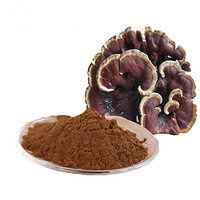 Reishi (broken shell) Spore Powder, Organic Reishi Spore Powder
