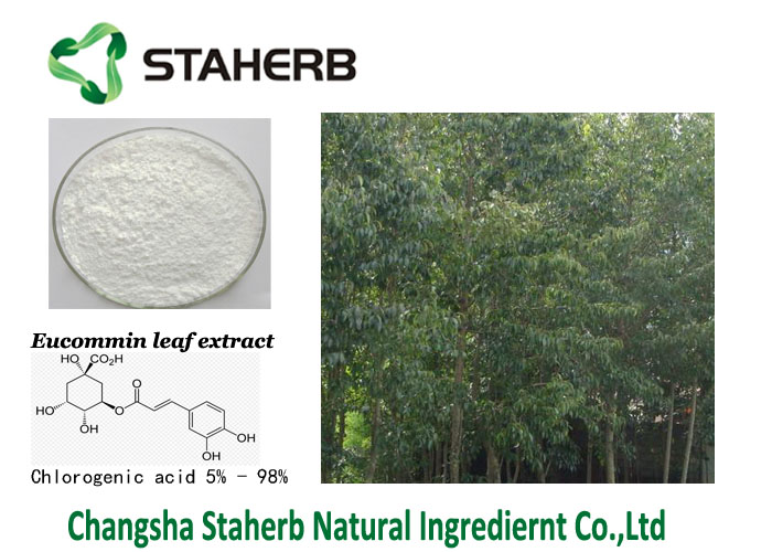 Eucommia Leaf Extract Chlorogenic Acid 5%  Veterinary medicine material  