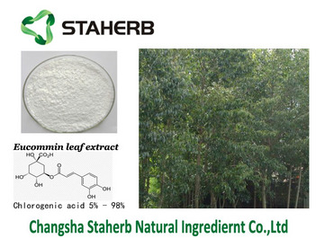 Eucommia Leaf Extract Chlorogenic Acid 5%  Veterinary medicine material