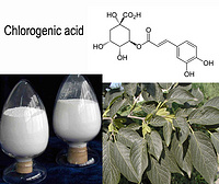 Eucommia Leaf Extract Chlorogenic Acid 5%  Veterinary medicine material