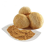 Lions mane mushroom extract, Hericium Extract, Hericium Erin