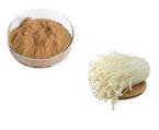 Needle mushroom Extract, Enoki Extract, Enokitake extract powder