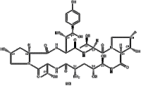 Echinocandin B0 HCl