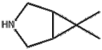 6,6-DiMethyl-3-azabicyclo[3.1.0]hexane