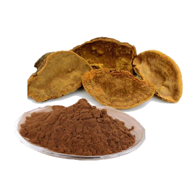 Phellinus Extract, Meshima mushroom Extract