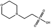 4-Morpholineethanesulfonic aci