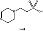 MES sodium salt