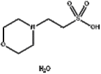 MES monohydrate