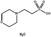 MES monohydrate