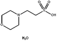 MES monohydrate