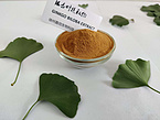 Ginkgo Biloba Extract USP43