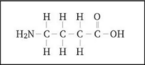 GABA-Aminobutyric acid