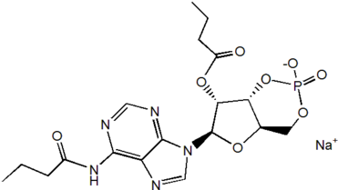 Sodium Dibutyryl adenosine Cyclophosphate (DB-cAMPNa)