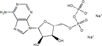 Adenosine 5'-Diphosphate Disodium Salt（ADP-Na2）