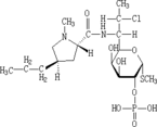 Clindamycin Phosphate