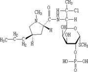 Clindamycin Phosphate