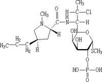 Clindamycin Phosphate