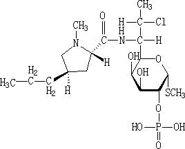 Clindamycin Phosphate