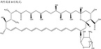 Amphotericin B(Oral & Injection)