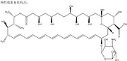 Amphotericin B(Oral & Injection)