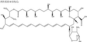 Amphotericin B(Oral & Injection)