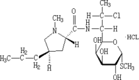 Clindamycin Hydrochloride