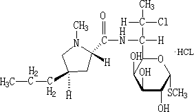 Clindamycin Hydrochloride