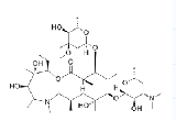 Azithromycin Tablet  