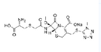 Cefminox sodium for Injection