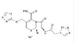 Ceftezole Sodium for Injection